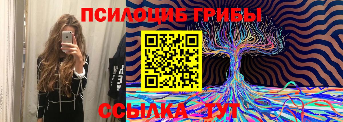 Галлюциногенные грибы мицелий  Вход с VPN  как найти закладки  Ивантеевка  Галлюциногенные грибы Psilocybine cubensis 